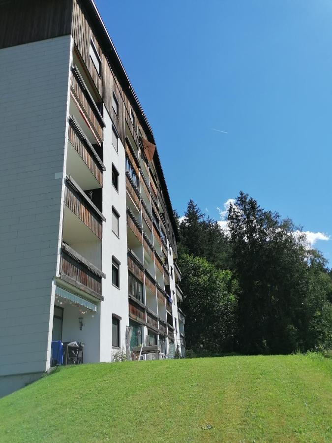Apartment Fewo Irdning Pichlarn 아이겐임엔스탈 외부 사진